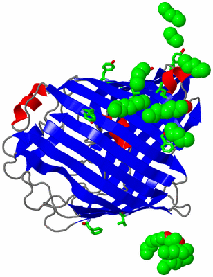 Image Asym. Unit - sites