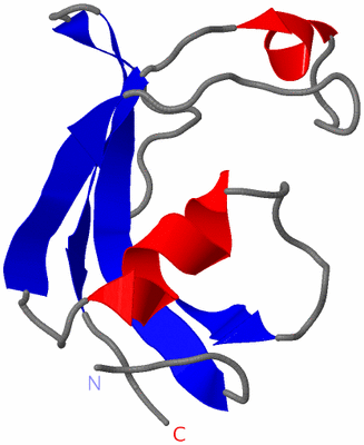 Image NMR Structure - model 1
