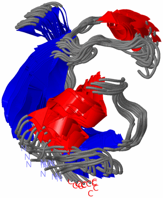 Image NMR Structure - all models