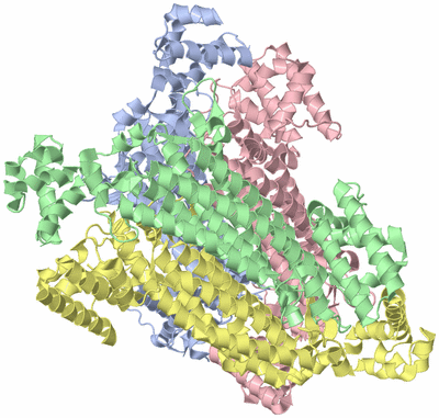 Image Asym./Biol. Unit