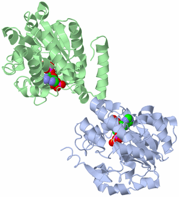 Image Asym./Biol. Unit