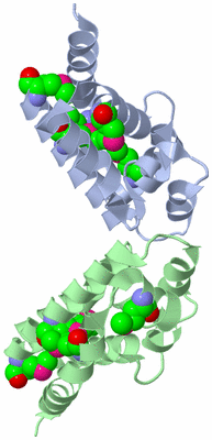 Image Asymmetric Unit
