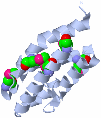 Image Biological Unit 1
