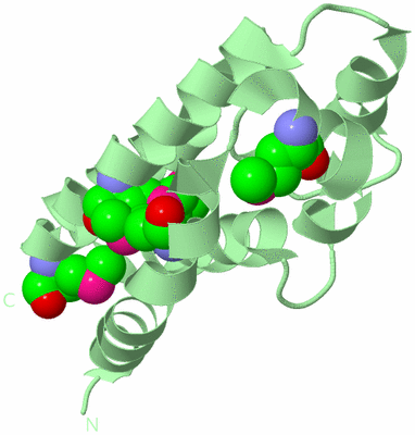 Image Biological Unit 2
