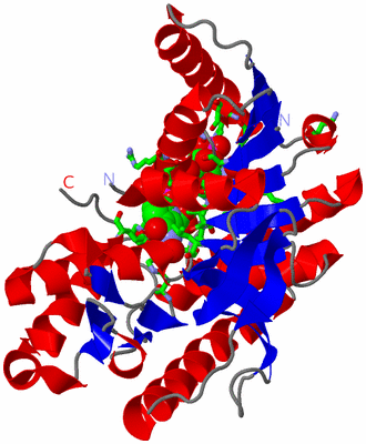 Image Asym. Unit - sites