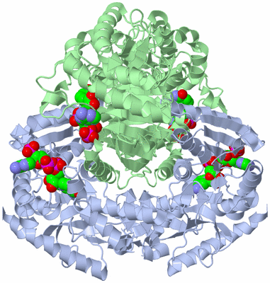 Image Biological Unit 1