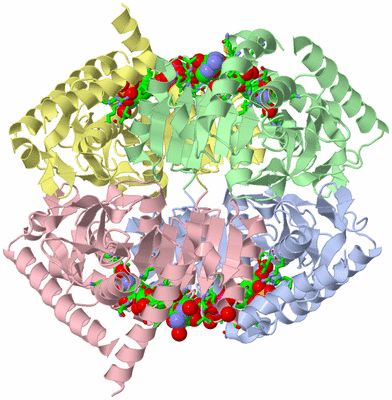 Image Biol. Unit 1 - sites