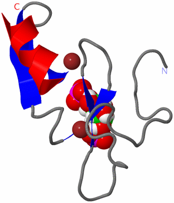 Image NMR Structure - model 1