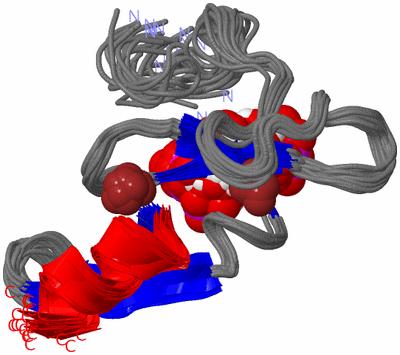 Image NMR Structure - all models