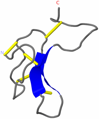 Image NMR Structure - model 1