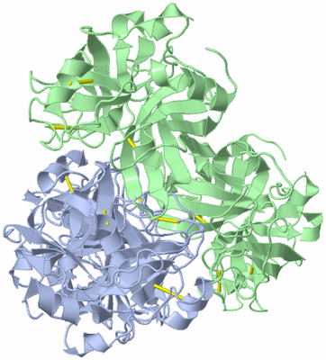 Image Biological Unit 1