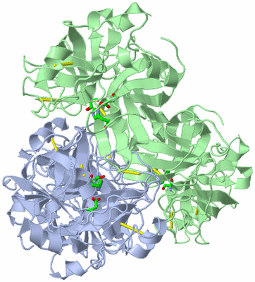 Image Biol. Unit 1 - sites