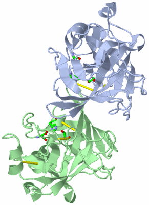 Image Asym. Unit - sites