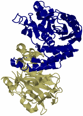 Image Biological Unit 2