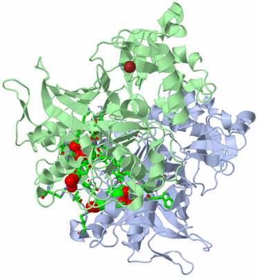 Image Asym./Biol. Unit - sites