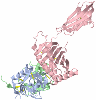 Image Asym./Biol. Unit