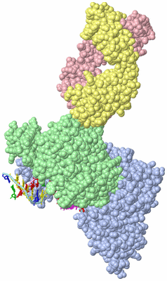 Image Asym./Biol. Unit