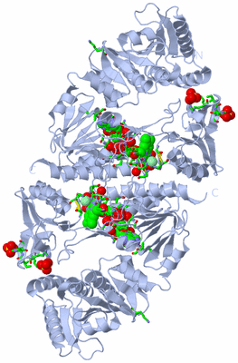 Image Biol. Unit 1 - sites