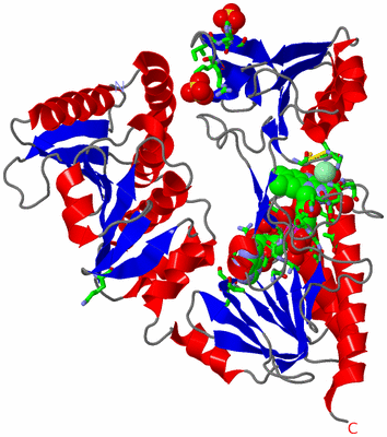 Image Asym. Unit - sites