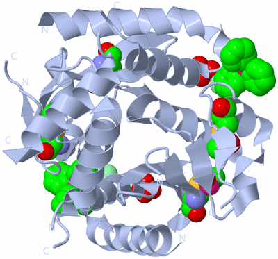 Image Biological Unit 1