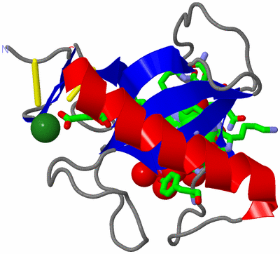 Image Asym./Biol. Unit - sites