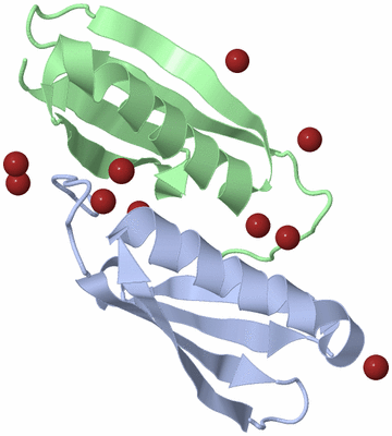 Image Biological Unit 3