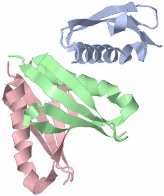 Image Asymmetric Unit