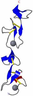 Image NMR Structure - model 1