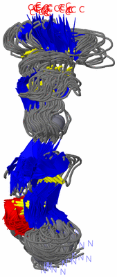 Image NMR Structure - all models