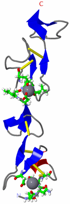 Image NMR Structure - model 1, sites