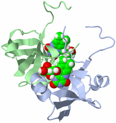 Image NMR Structure - model 1