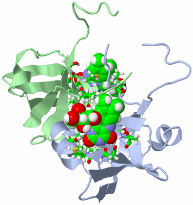 Image NMR Structure - model 1, sites