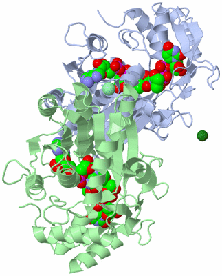 Image Asym./Biol. Unit