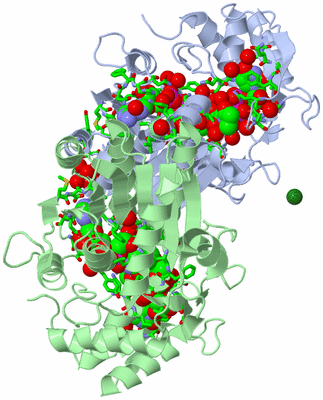 Image Asym./Biol. Unit - sites