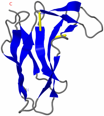 Image NMR Structure - model 1