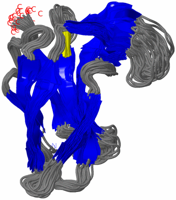 Image NMR Structure - all models