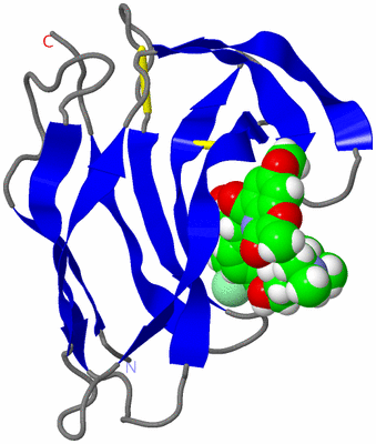 Image NMR Structure - model 1