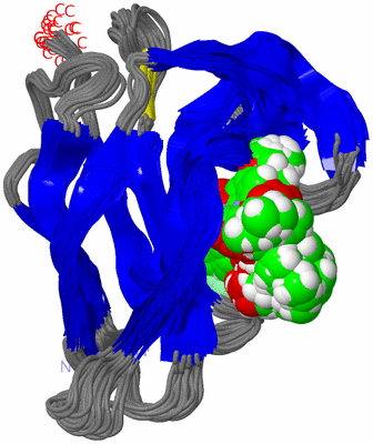 Image NMR Structure - all models