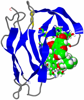 Image NMR Structure - model 1, sites