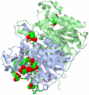 Image Asym./Biol. Unit - sites