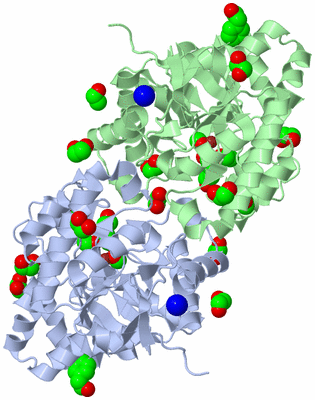 Image Asym./Biol. Unit