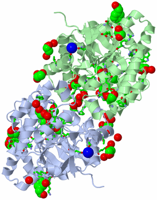 Image Asym./Biol. Unit - sites