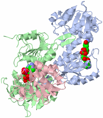 Image Asym./Biol. Unit