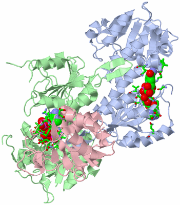 Image Asym./Biol. Unit - sites