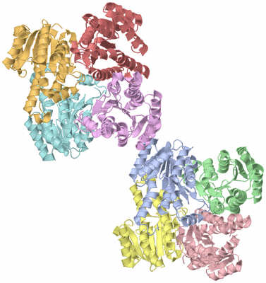 Image Asymmetric Unit