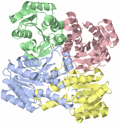 Image Biological Unit 1