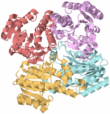 Image Biological Unit 2