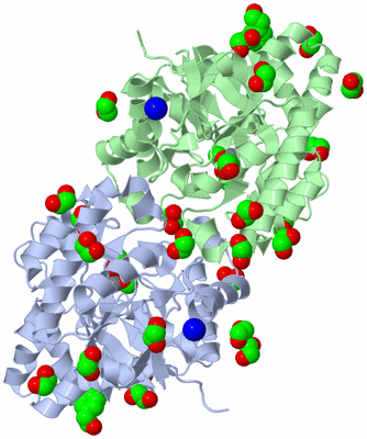 Image Asym./Biol. Unit