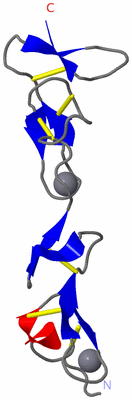 Image NMR Structure - model 1