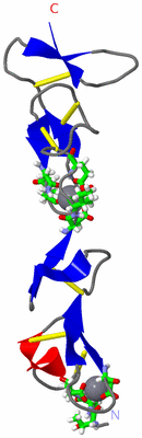 Image NMR Structure - model 1, sites